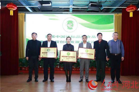 华中集团 绿色科技 中国文化 推广优质地标品牌食品